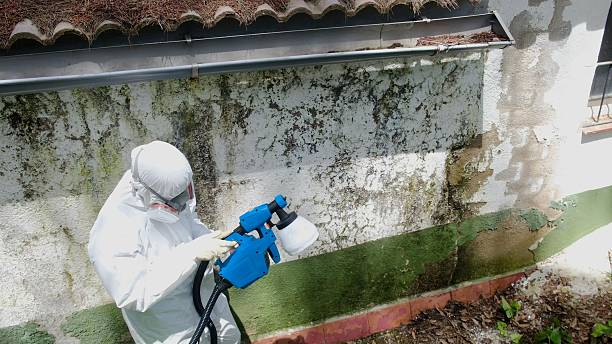 Clearance testing in Cedarville